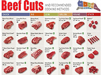 beef cuts chart