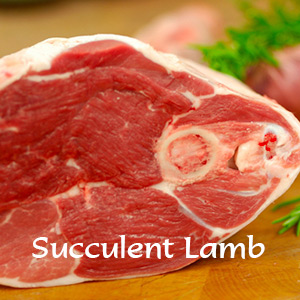 cook lambleg lgrid a